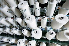 汽車等五行業領跑利潤增長，非金屬礦及制品批發表現亮眼